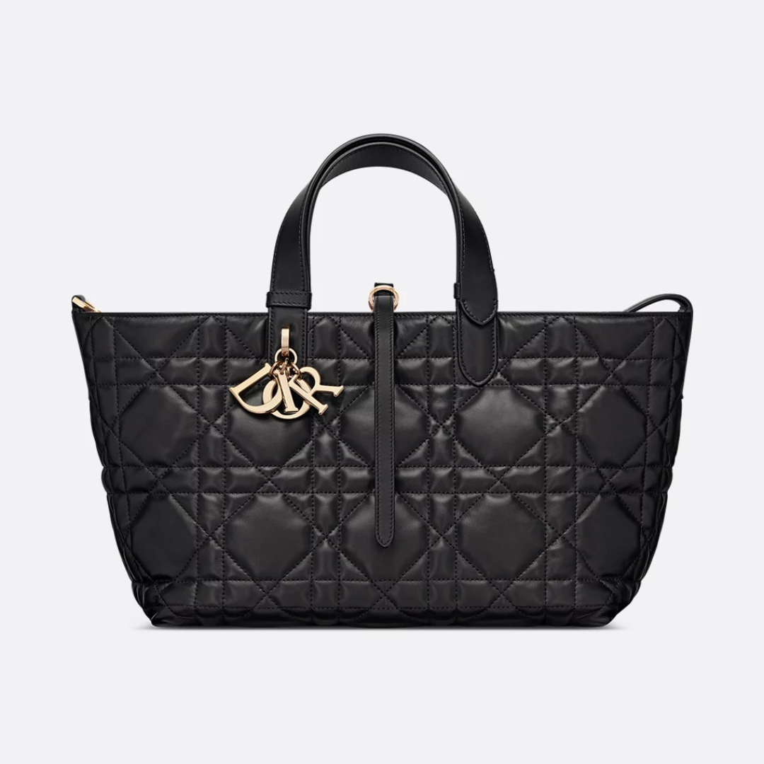 DIOR MEDIUM HAND BAG
