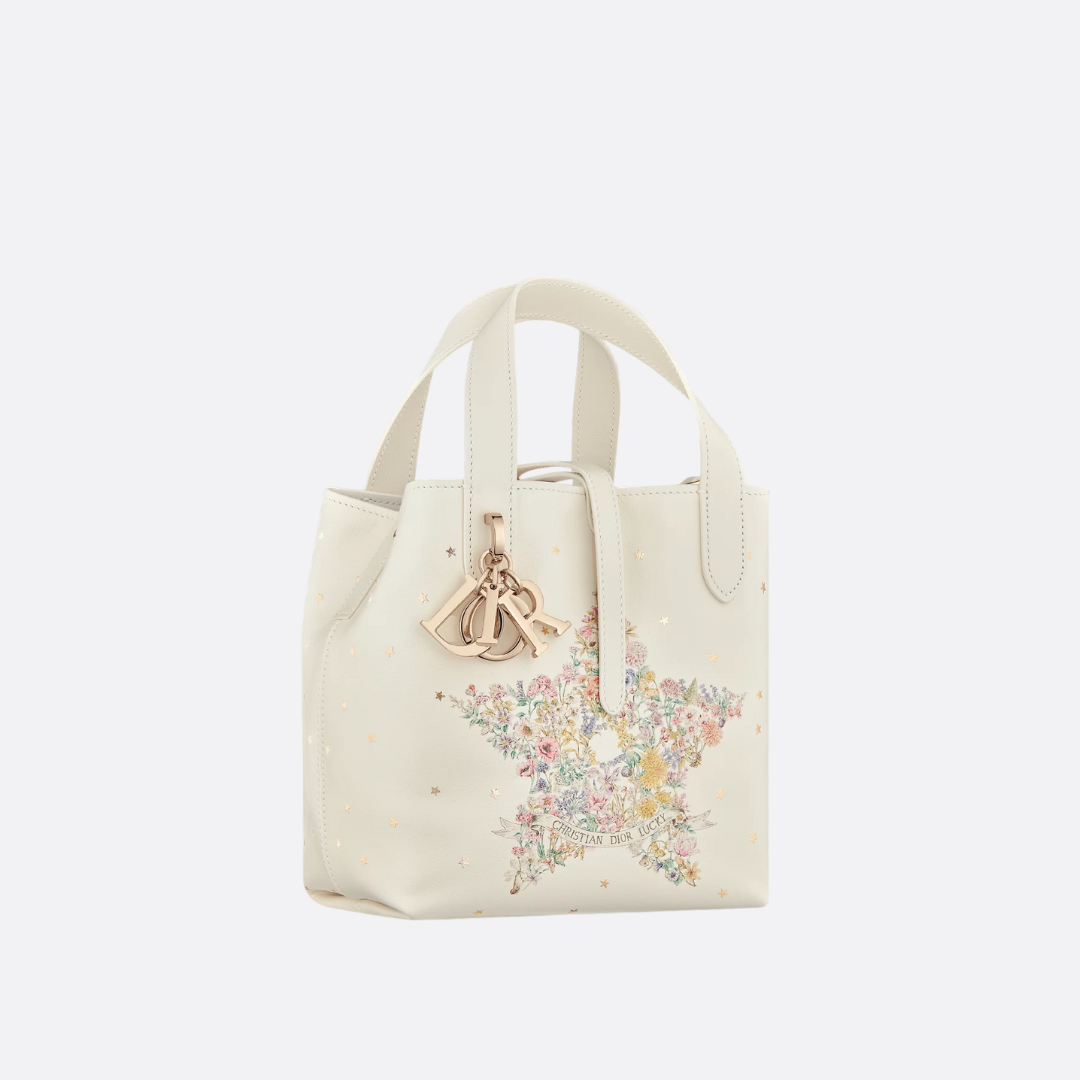 DIOR LUCKY DIOR TOUJOURS SMALL VERTICAL BAG