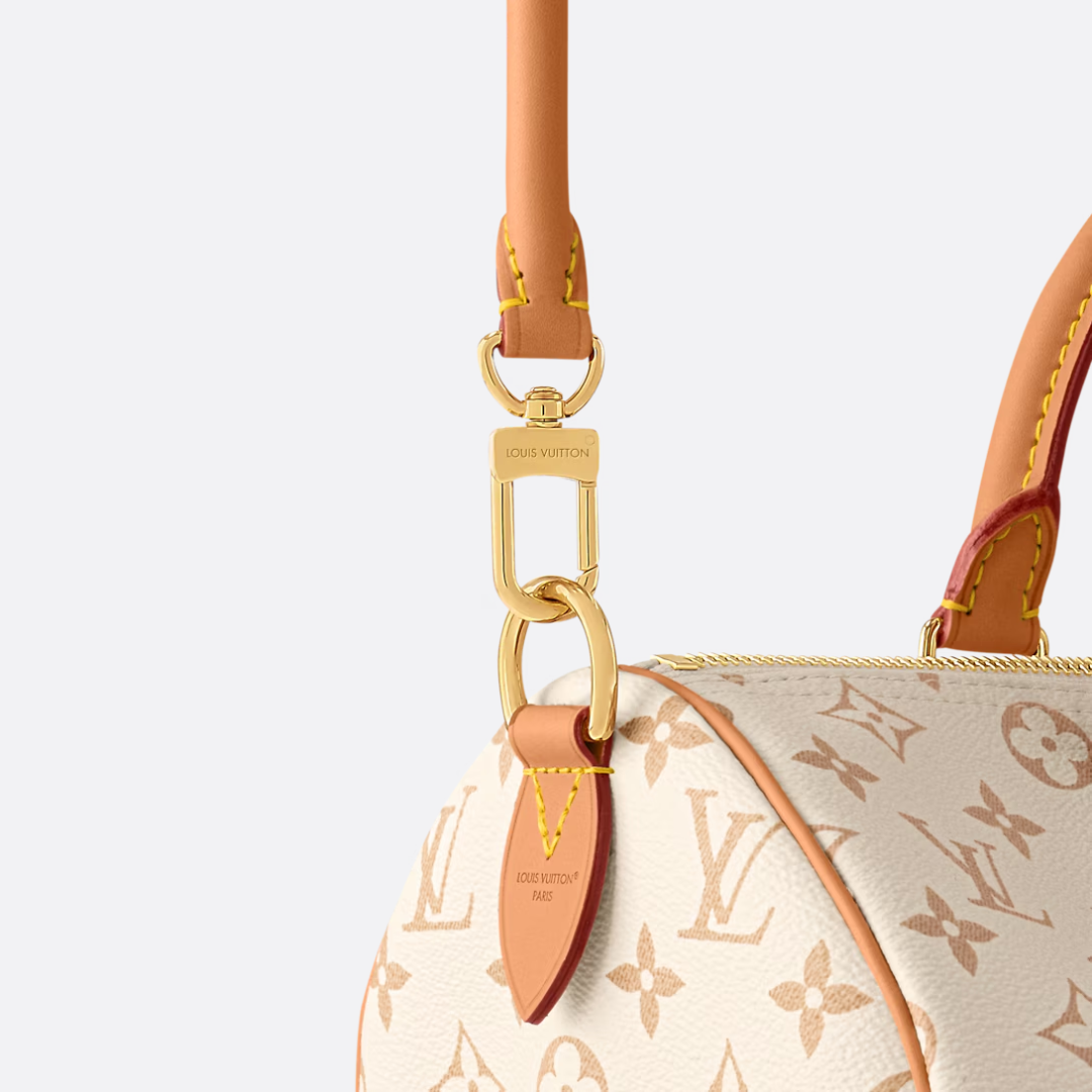 LOUIS VUITTON MEDIUM HAND BAG