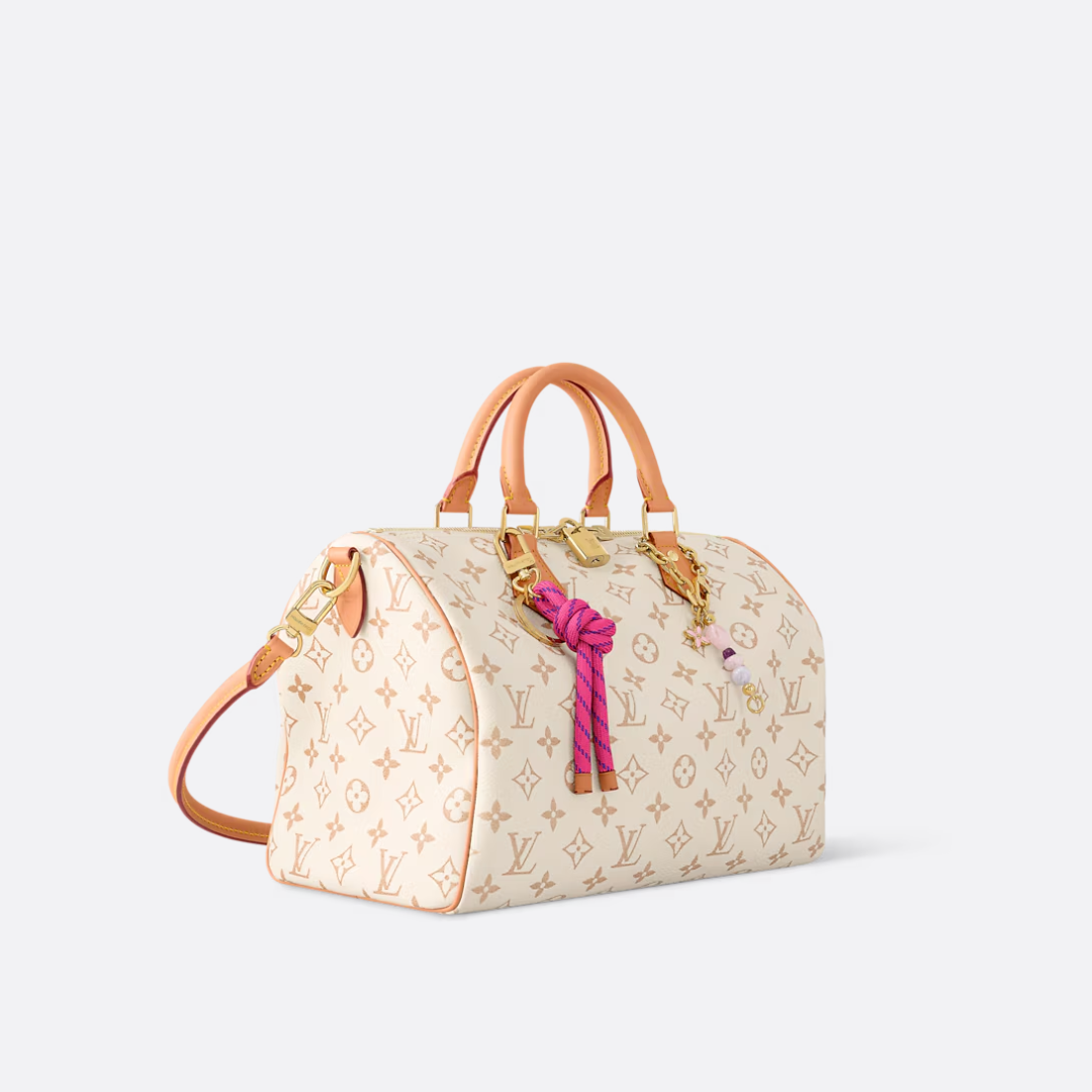 LOUIS VUITTON MEDIUM HAND BAG