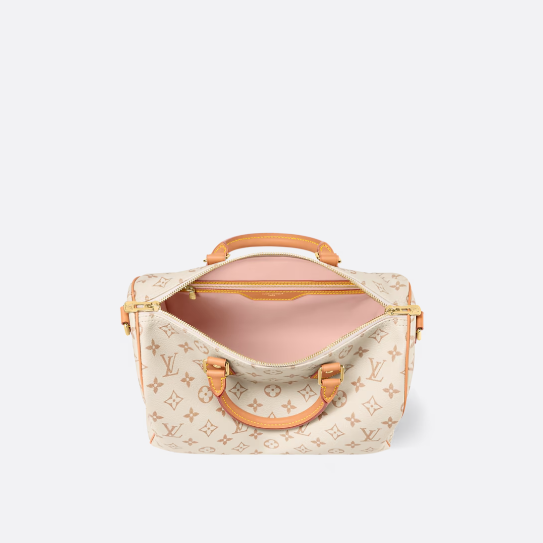 LOUIS VUITTON MEDIUM HAND BAG