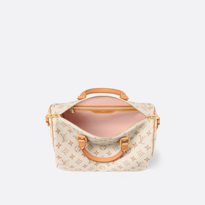 LOUIS VUITTON MEDIUM HAND BAG