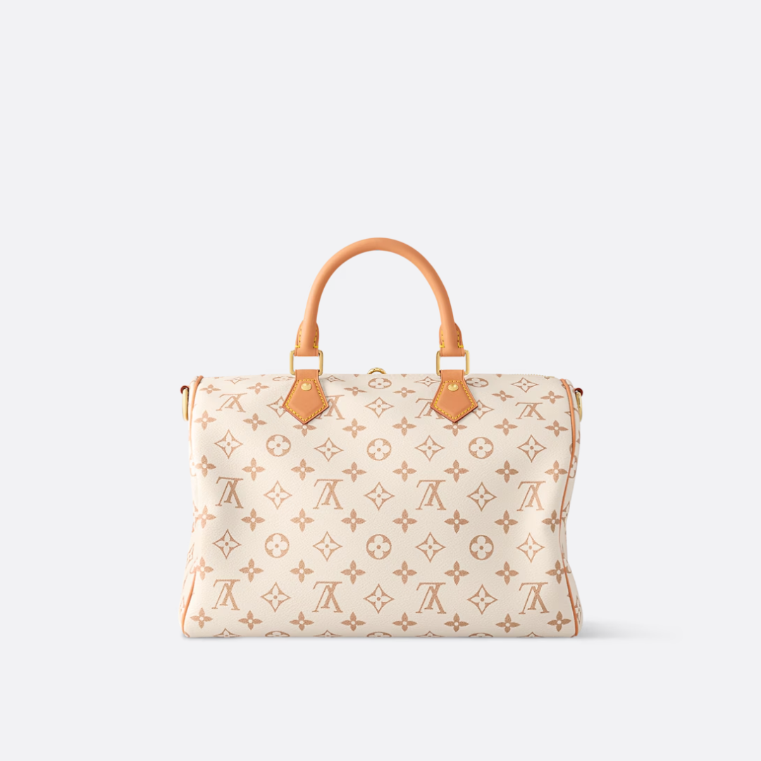 LOUIS VUITTON MEDIUM HAND BAG