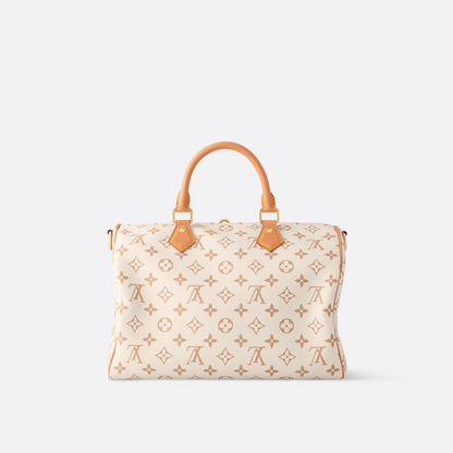 LOUIS VUITTON MEDIUM HAND BAG