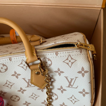 LOUIS VUITTON MEDIUM HAND BAG