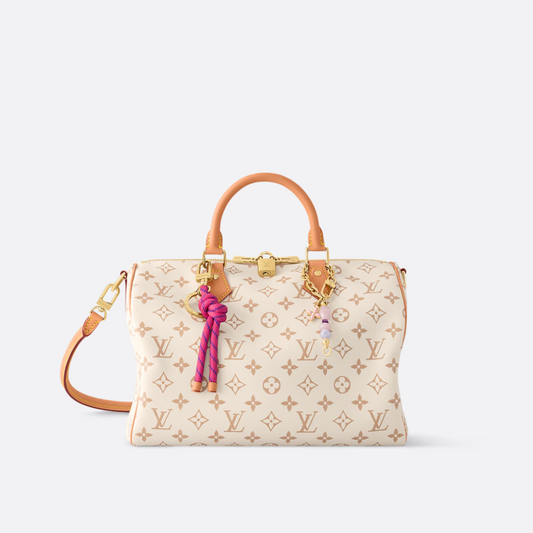LOUIS VUITTON MEDIUM HAND BAG