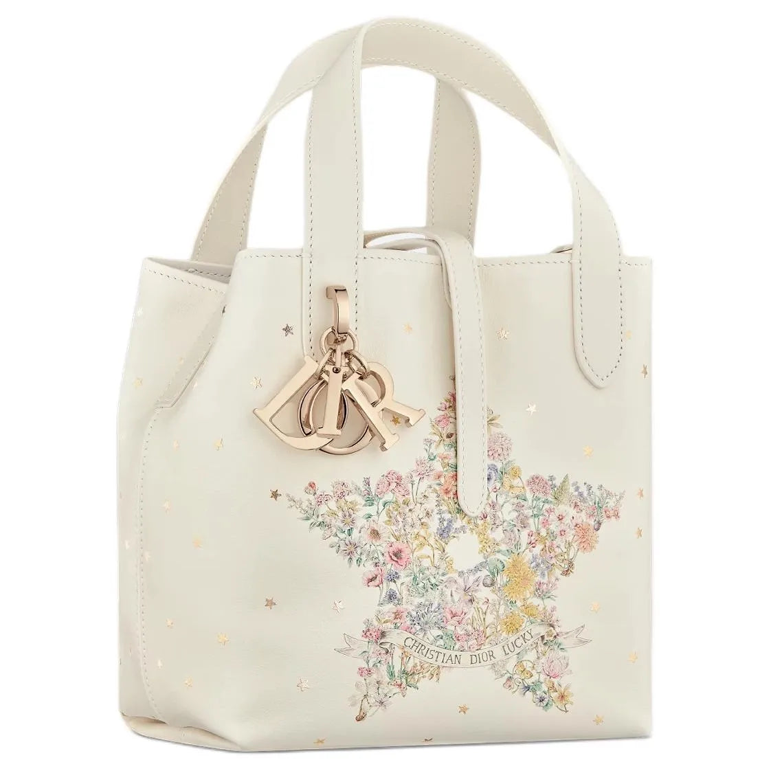 DIOR LUCKY DIOR TOUJOURS SMALL VERTICAL BAG